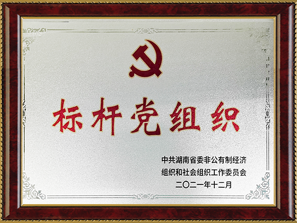 香港六家宝典资料大全