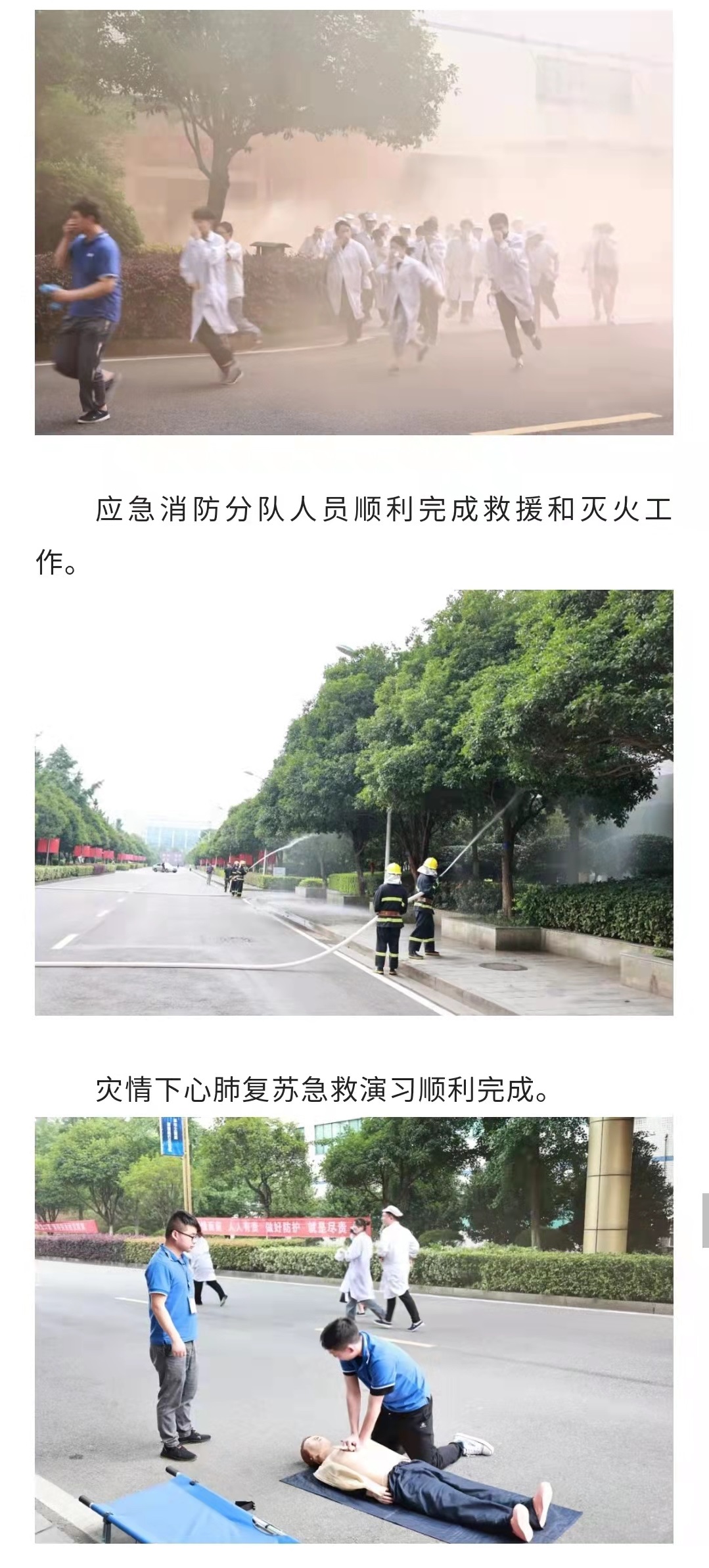 香港六家宝典资料大全