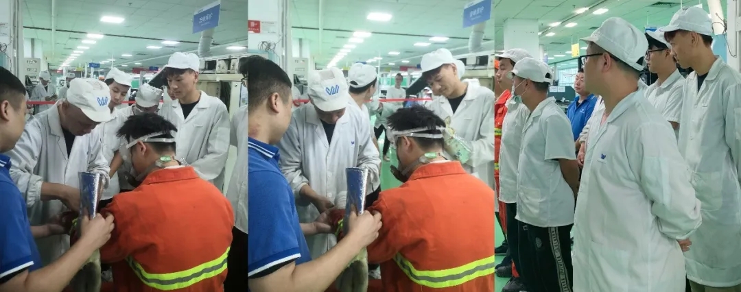 香港六家宝典资料大全