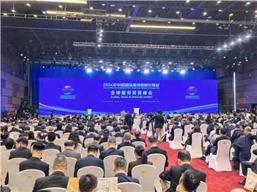全球服务·互惠共享｜威胜携AMI解决方案亮相2024年中国国际服务贸易交易会