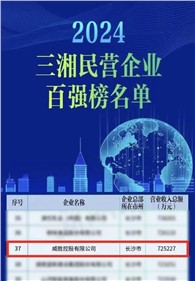喜讯｜威胜控股上榜2024三湘民营企业百强榜单，排名第37位